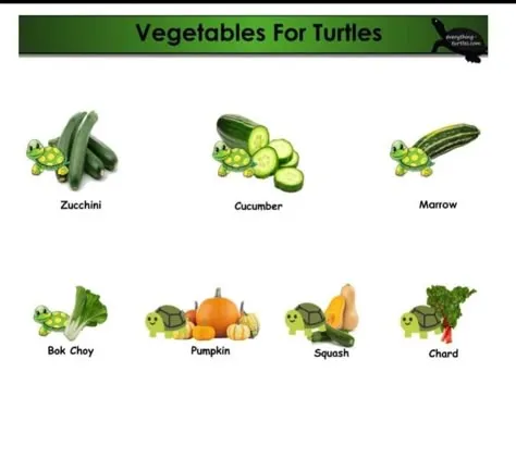 Rice is harmful for turtles because they can't digest it, unlike the safe vegetables shown, which provide essential nutrients and fiber for their health.